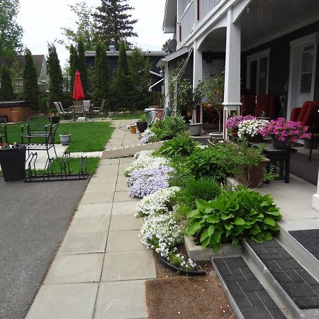 Hotel Saint-Donat Екстер'єр фото